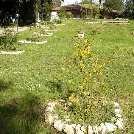 La Casa Nel Bosco Casa di campagna Narni